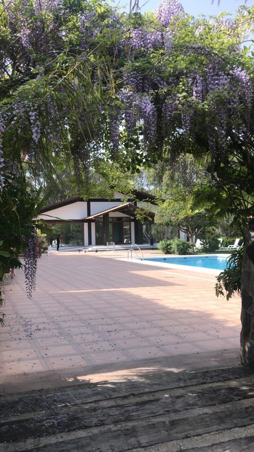 Hotel El Paso Vejer de la Frontera Exterior foto